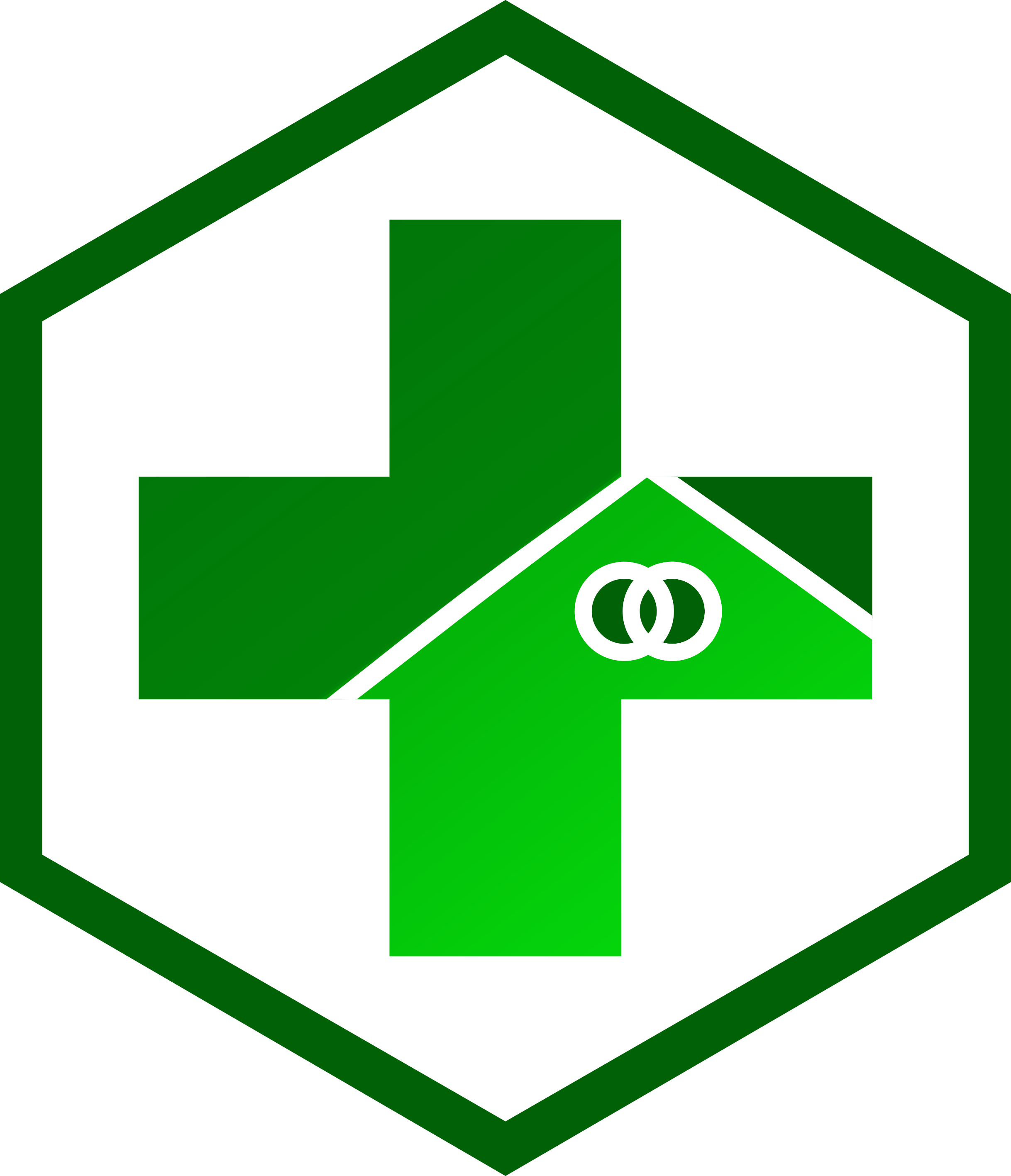  logo  pkm UPT Dinas Kesehatan Bontokassi
